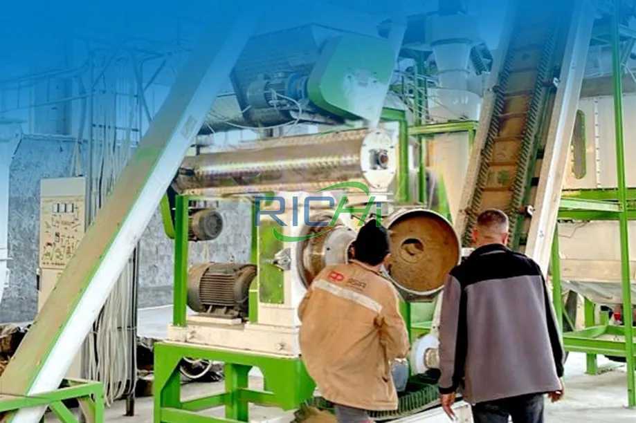 5-6T/H Alfalfa Feed Pellet Machine Project in Kazakhstan