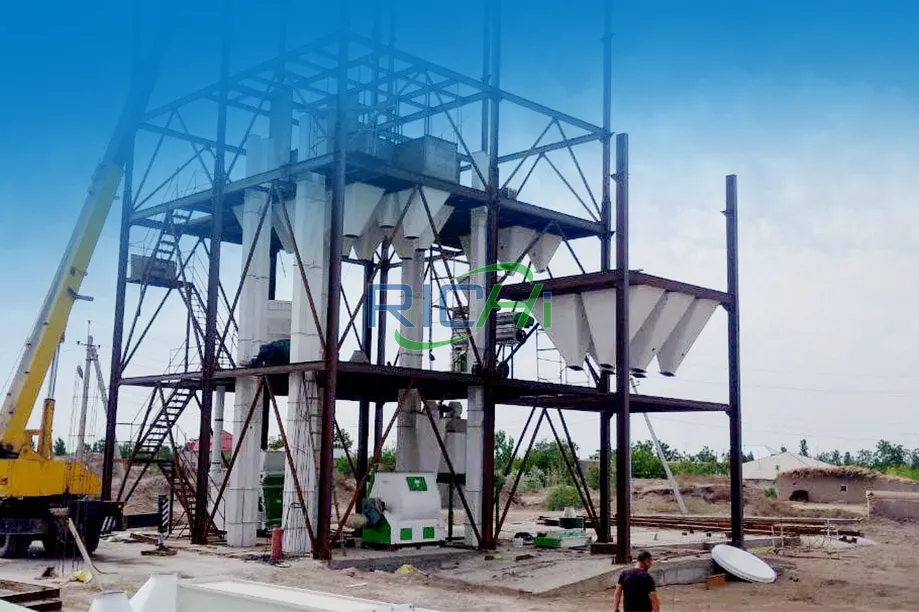 10T/H Multi-Species Feed Pellet Machine Project in Mexico