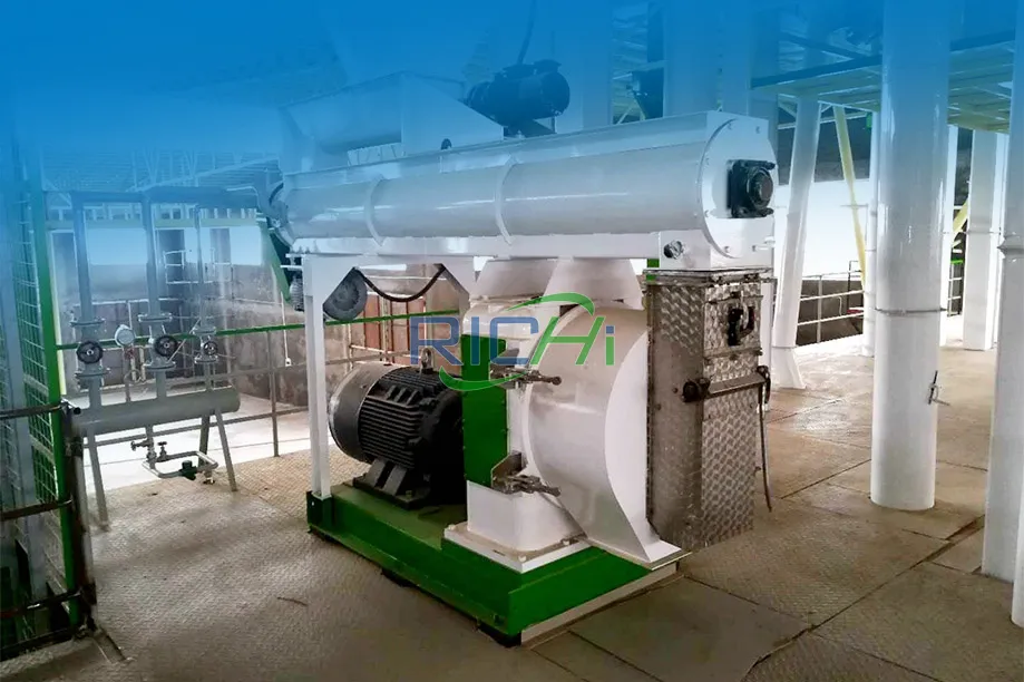 10T/H Poultry & Layer Feed Pellet Machine Project in Iran