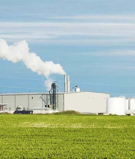 Planta de pellets de biomasa
