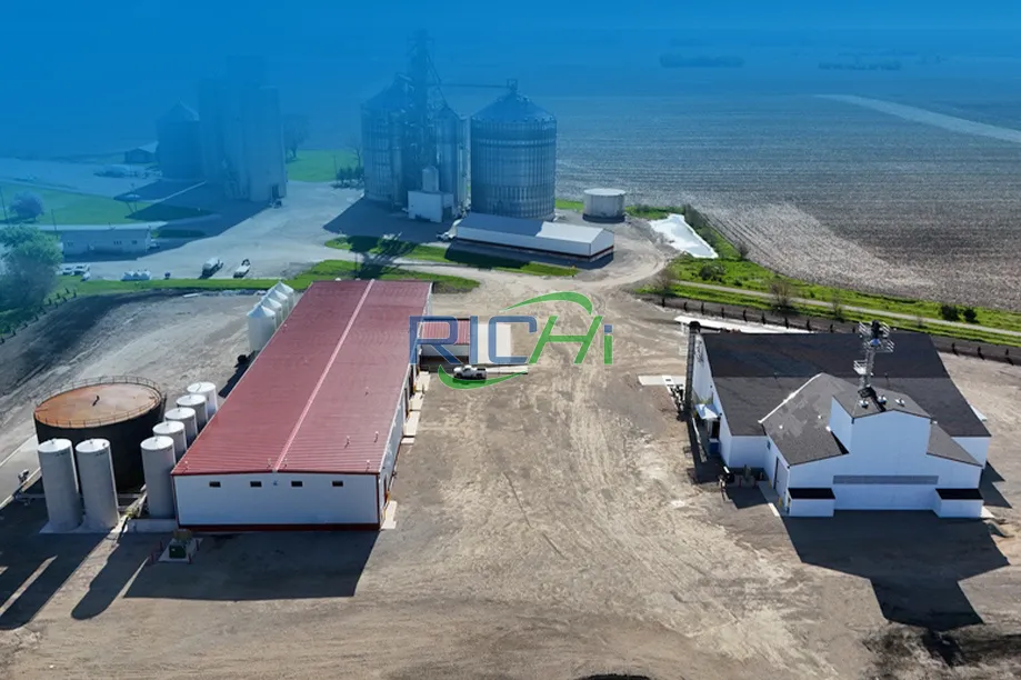 Línea de producción de 6 toneladas por hora de estiércol animal en polvo y fertilizante orgánico granulado en Ucrania