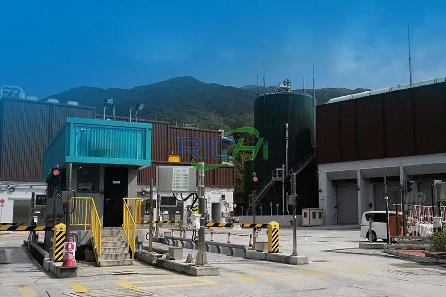 Sistema de producción de pellets de fertilizante de estiércol de vaca de 6 T/H en Rumania