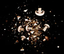 Residuos de hongos