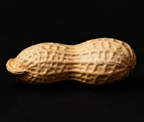 Cáscaras de maní