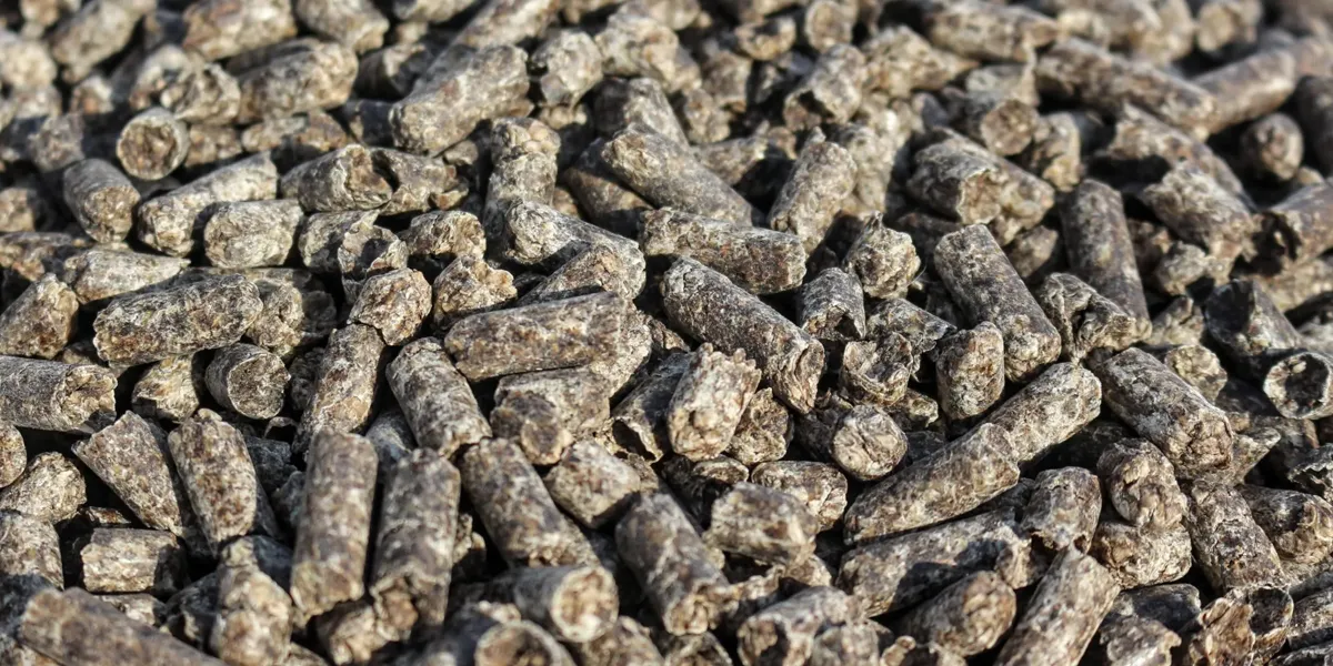 pellets de biomasa