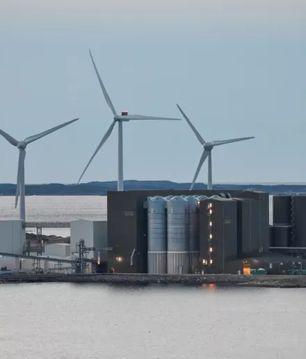Biomasse-Pellet-Maschinenanlage