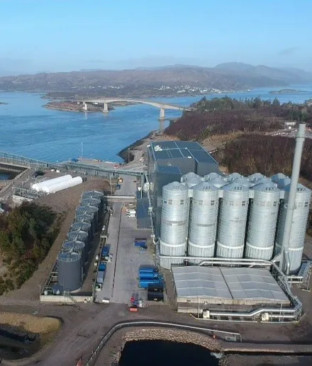 Biomasse-Pellet-Maschinenanlage