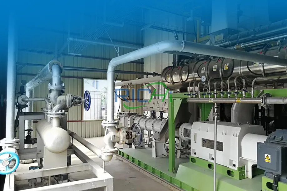6 t/h Fischfutterextruder zu verkaufen in Indien