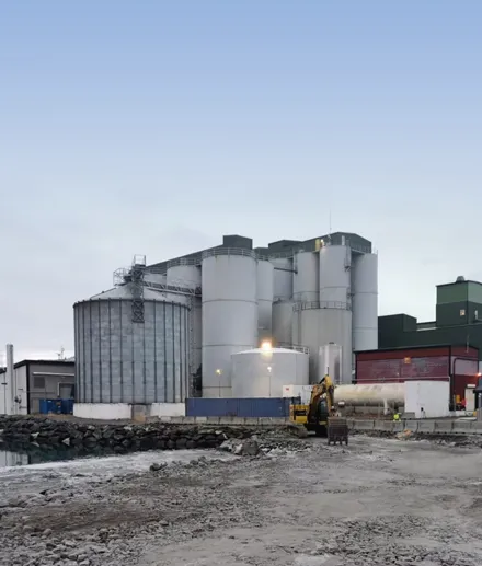 Biomasse-Pellet-Maschinenanlage