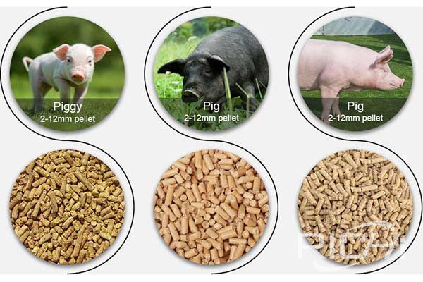 Optimum particle size of pig feed pellets