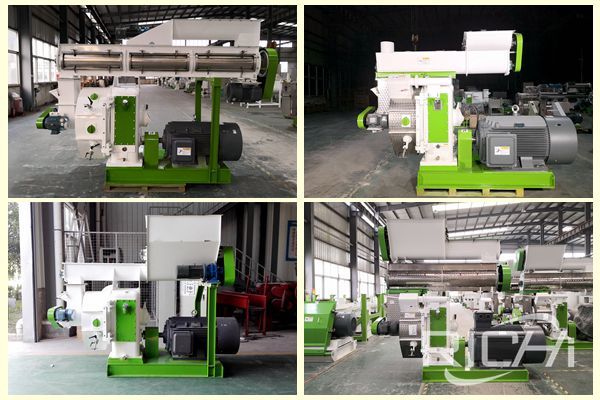 Feed pellet machine quality price after sale, which point is the most important?