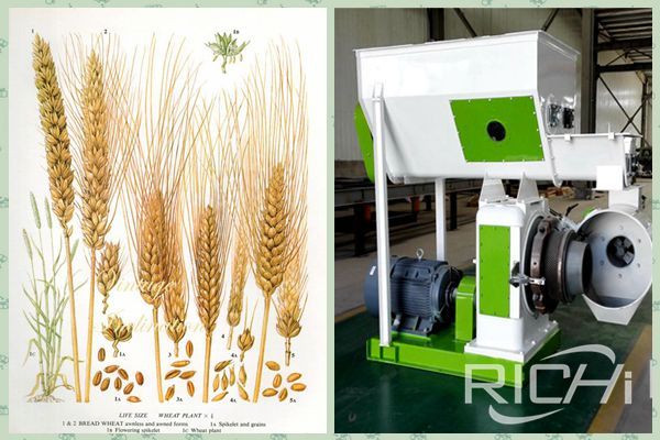 wheat straw pellet machine