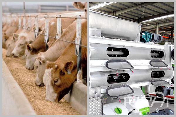 Animal Feed Pellet Machine manufacturer