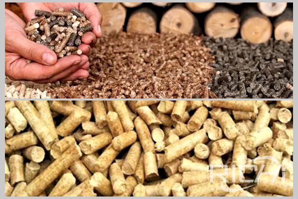 Biomass wood Pellet