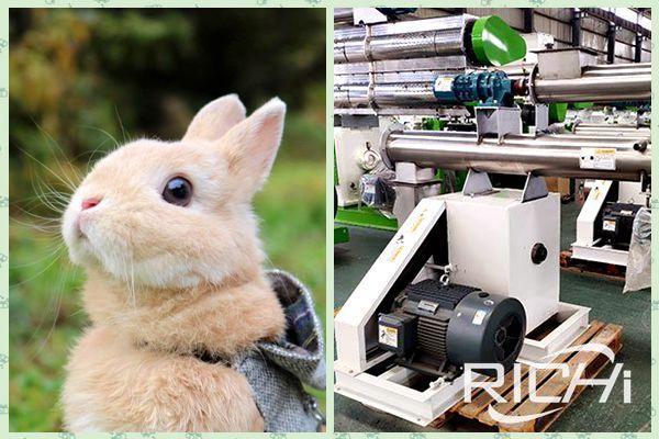  rabbit feed pellet machine