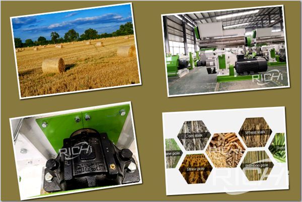 How to choose the correct straw pellet machine?