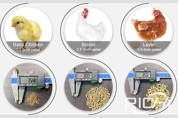 poultry feed pellet machine