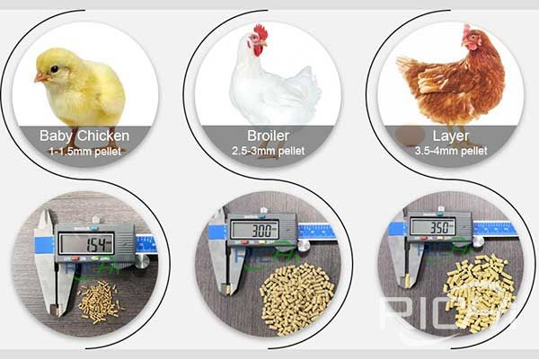 What to do if the Duck, goose and chicken feed pellet machine does not produce pellet at high temper