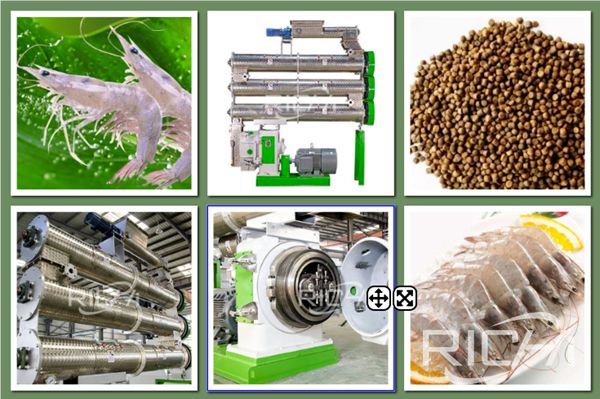 Effect of different ring die compression ratios on feed milling rate of Penaeus vannamei——results and analysis