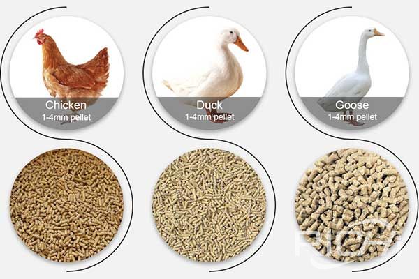 1-2 ton poultry feed pellet