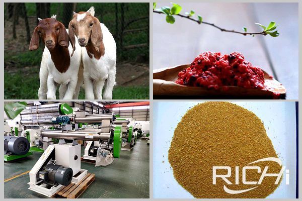 Classification of animal feed-feed pellet machine manufacturer