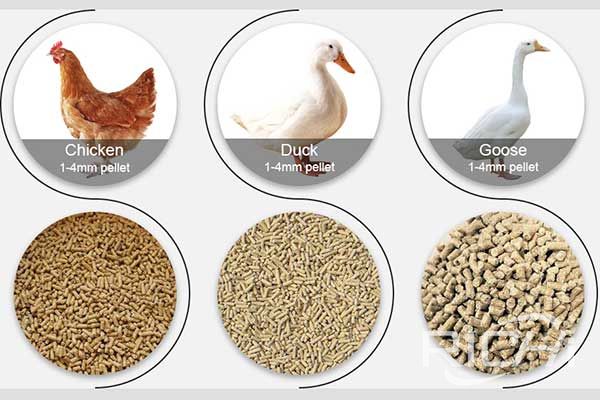 Poultry feed pellet