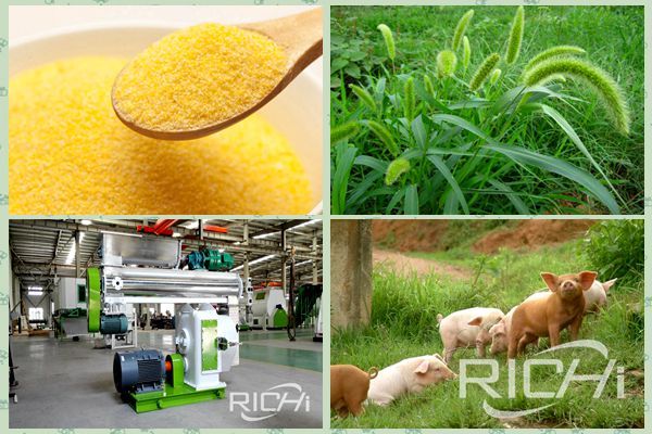 Benefit analysis of animal feed pellet machine for upstream and downstream enterprises