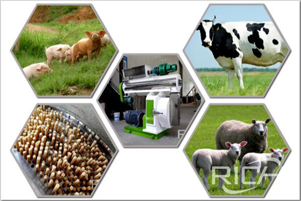 How to choose a suitable pig  cattle and sheep feed pellet machine?