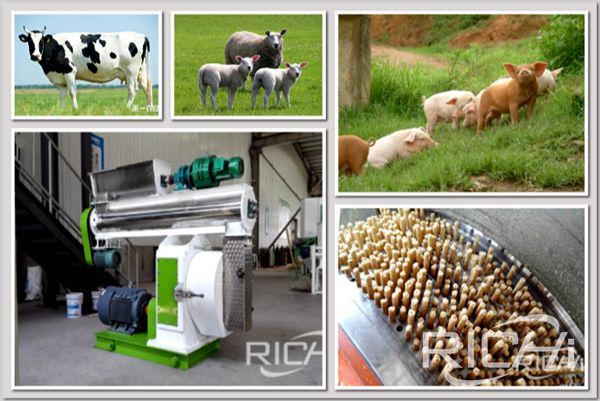 What are the benefits of pellet produced by feed pellet machine for livestock feeding?