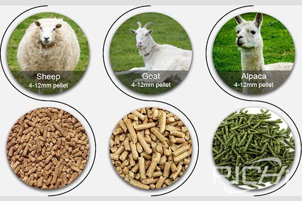 sheep feed pellet 