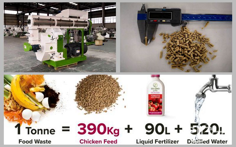 Turn food waste into poultry feed through pellet machine