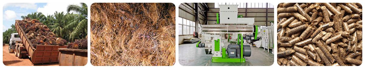 Production Process of Palm Fiber Pellet Machine