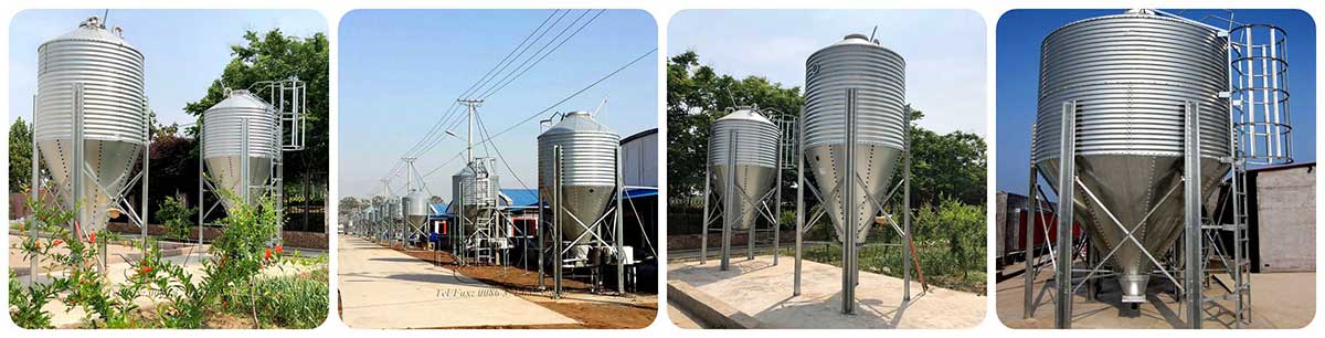 Small capacity silo project real shot