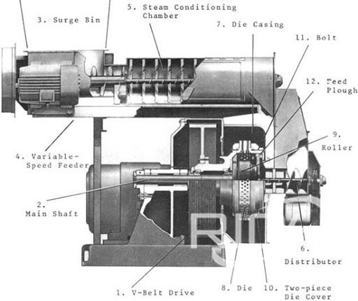  feed pellet machine structure