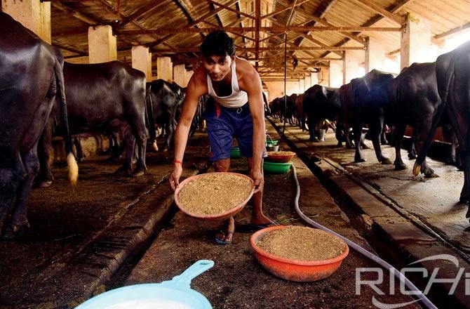 The cattle owners have stock left for about a week