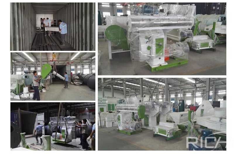 10T/H animal feed pelletizer production line delivery site