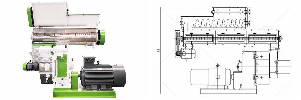 ring die pellet mill