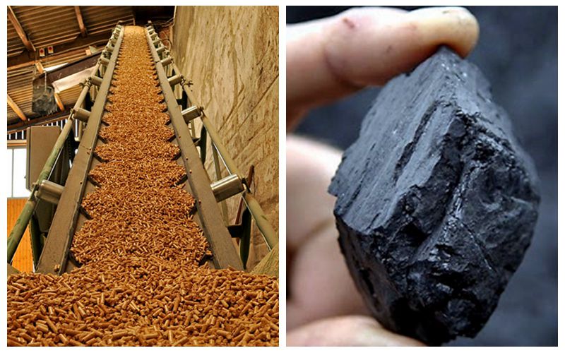 Pellets from biomass pellet press vs coal, which one is better for fuel?