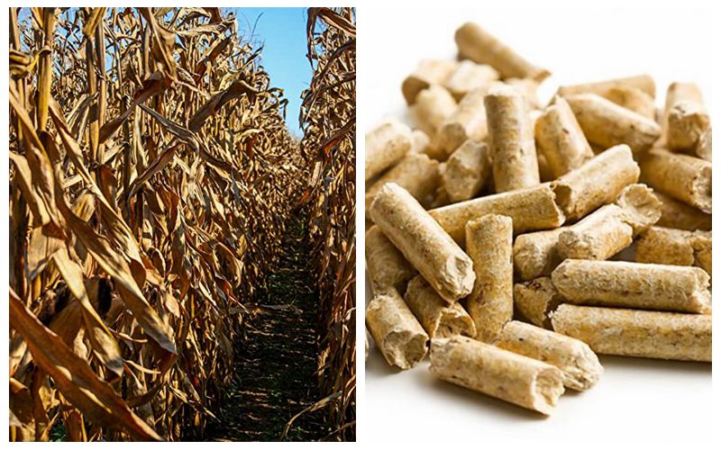 corn stalks pellet