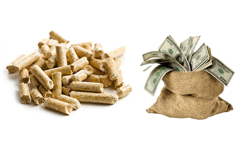 Selling Price of the Biomass Pellet