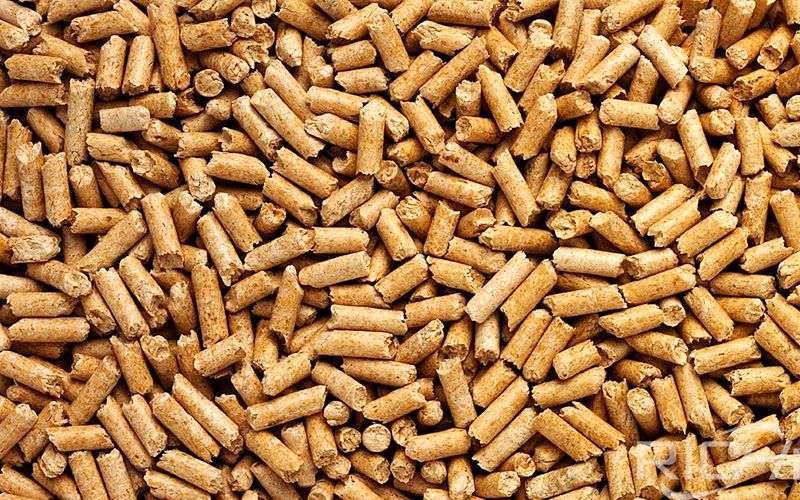 Biomass Pellet