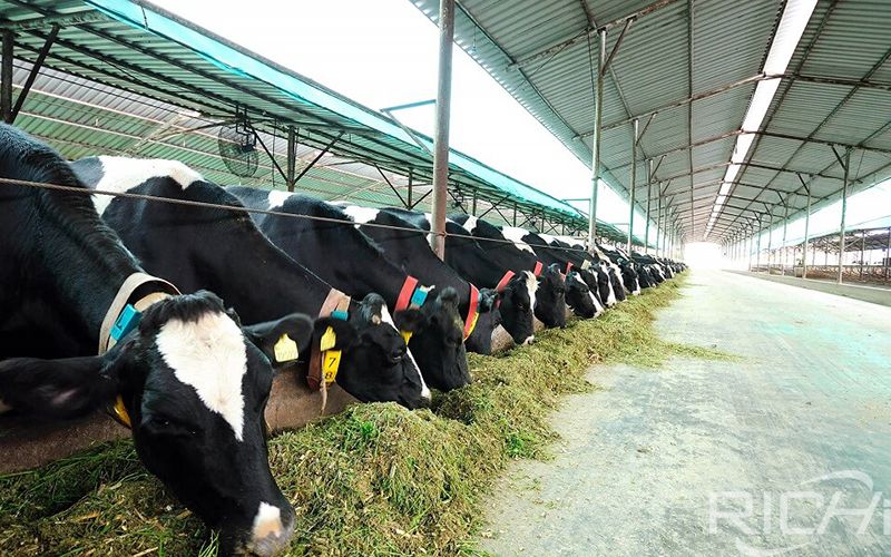 Manage Cattle Farms