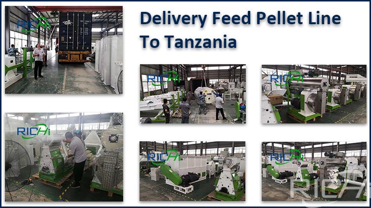 Feed Pellet Line To Export Tanzania