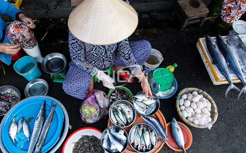 Commercial Fish Feed Production In Thailand