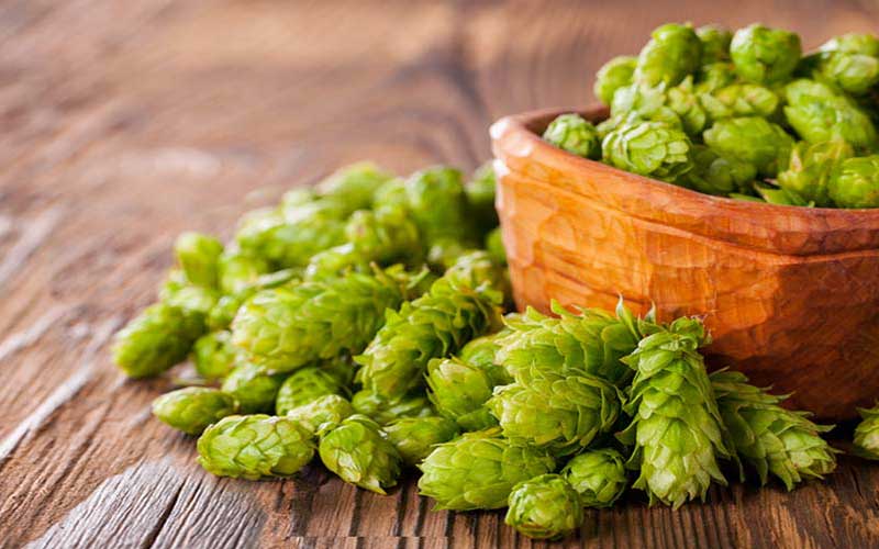 Newport hops