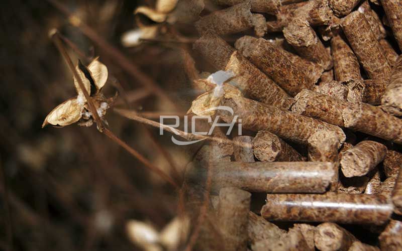 Cotton Stalk Pellet Machine: Make Cotton Stalk Into Fuel Pellets