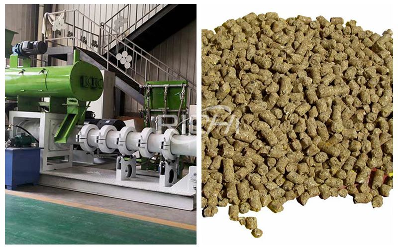 Feed Extruder: Highly Efficient Feed Machinery in the Aquatic Industry