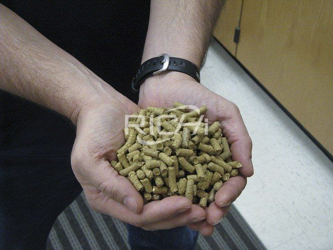 The Old Wood Mill Was Transformed Into Organic Alfalfa Pellet Production