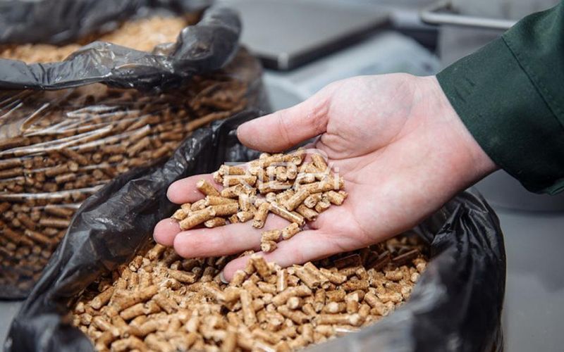 Price of Wood Pellets Produced by Wood Pellet Machine