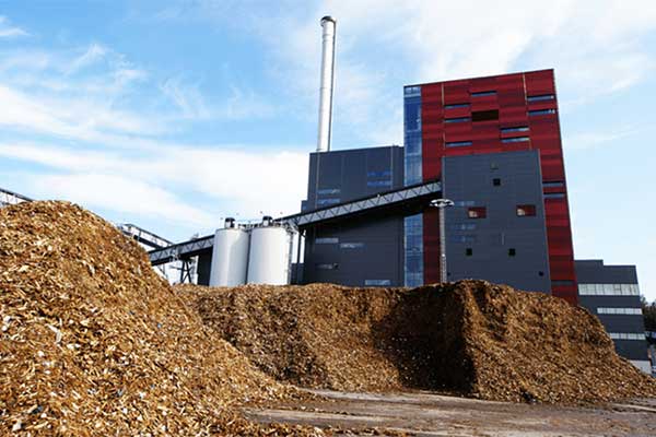 Sawdust Pellet Production Line
